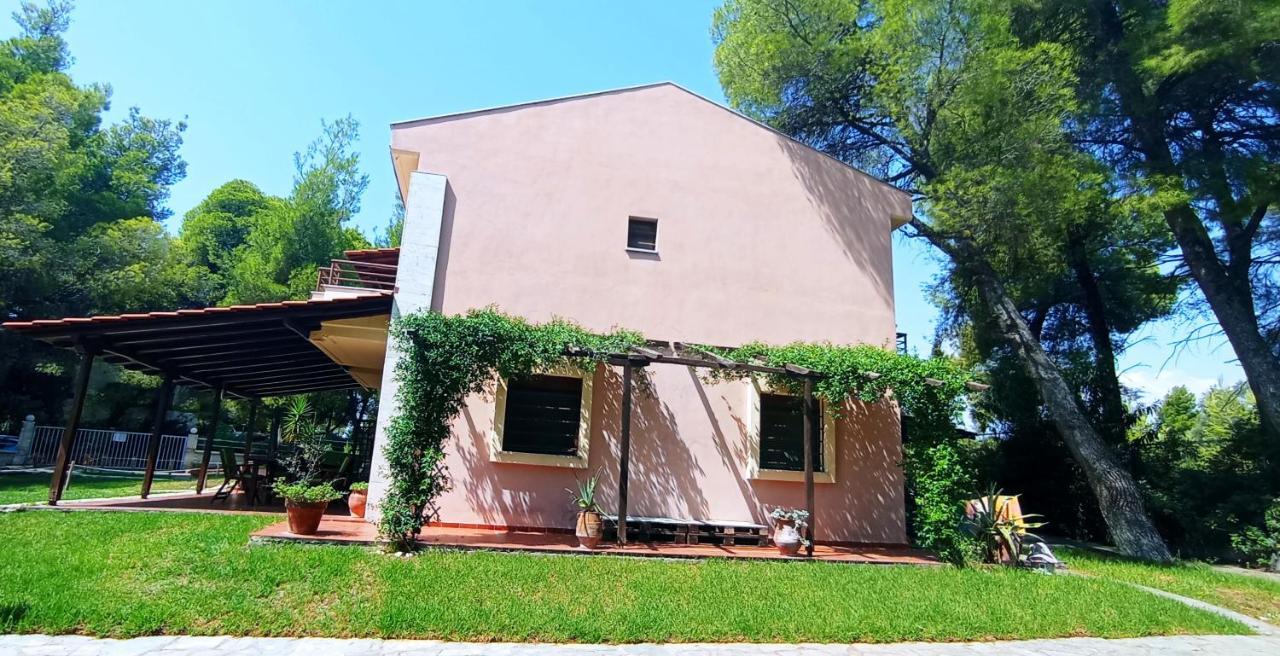 High Aesthetics Maisonette In The Wood By The Sea Metamorfosi  Exterior photo